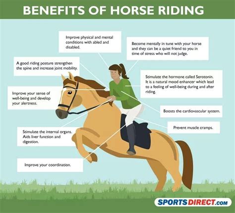 facts about horseback riding.